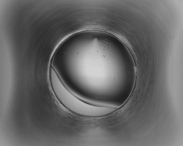 X0000115580912200911171007