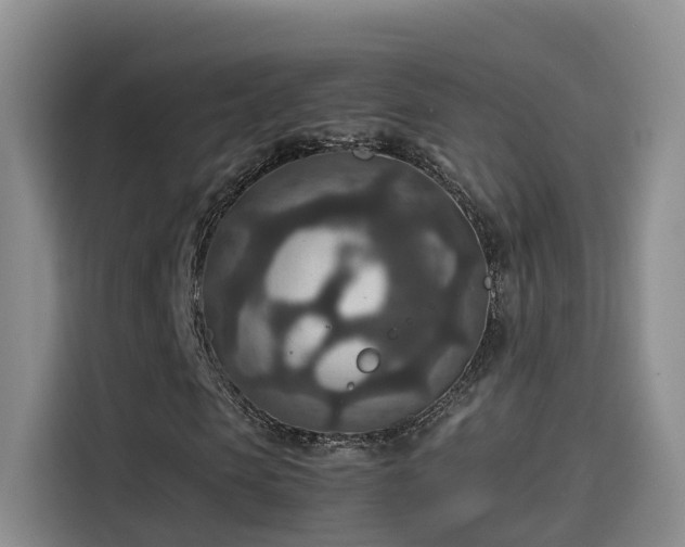 X0000115580913200911171006