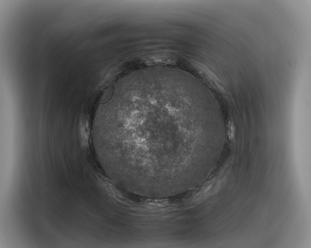 X0000115580915200911171006