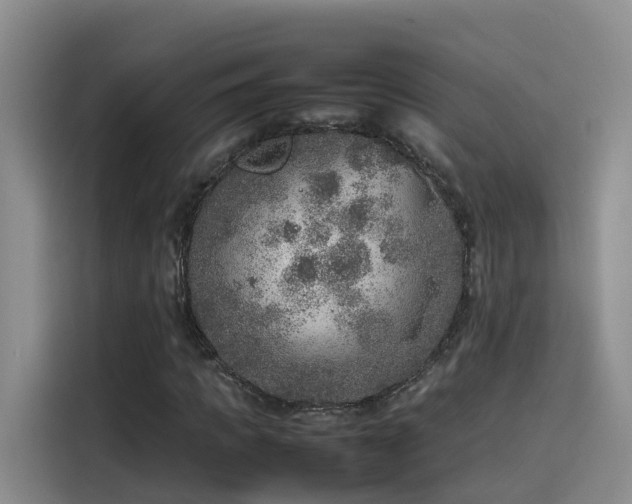 X0000115580917200911171006