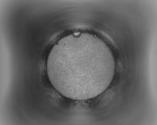 X0000115580918200911171006