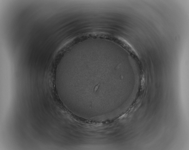 X0000115580919200911171006