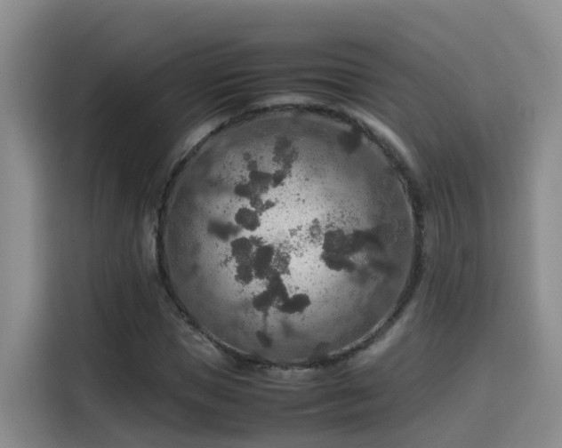 X0000115580921200911171006