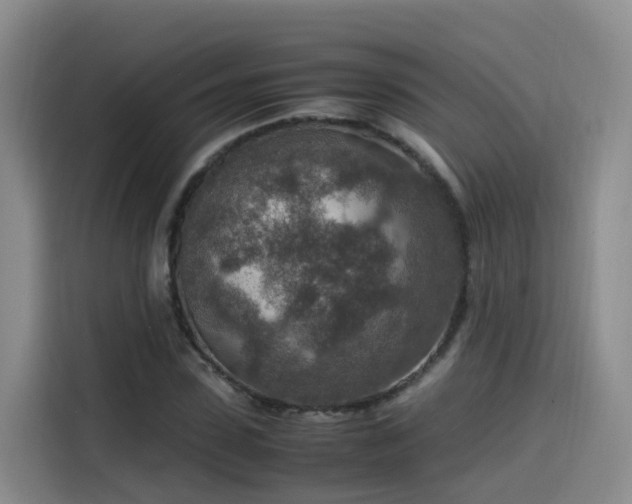 X0000115580923200911171006