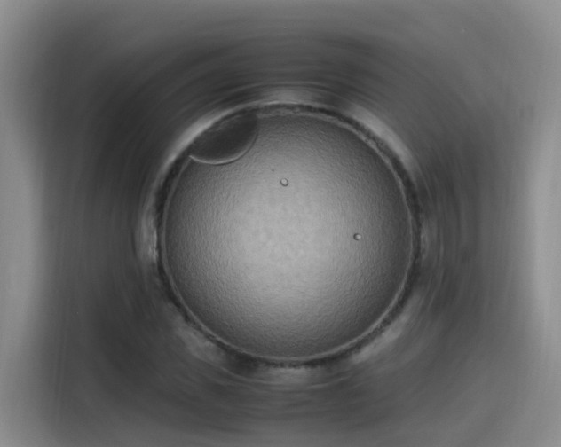 X0000115580925200911171006