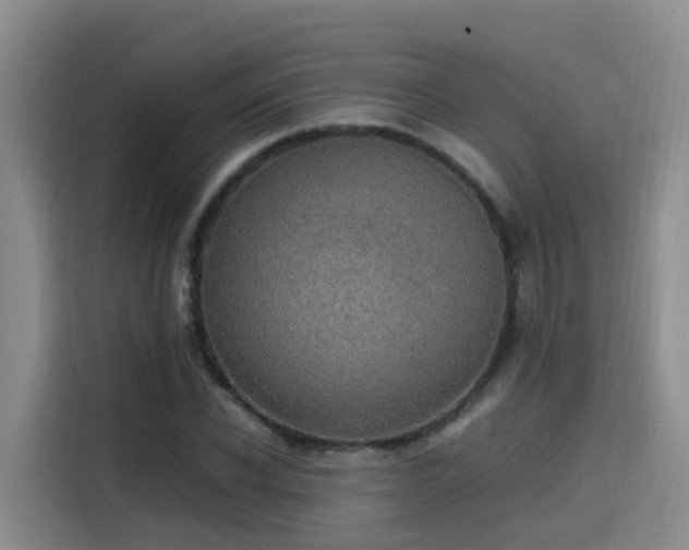 X0000115580926200911171006