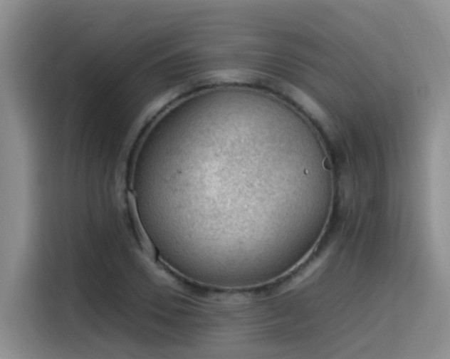 X0000115580930200911171007