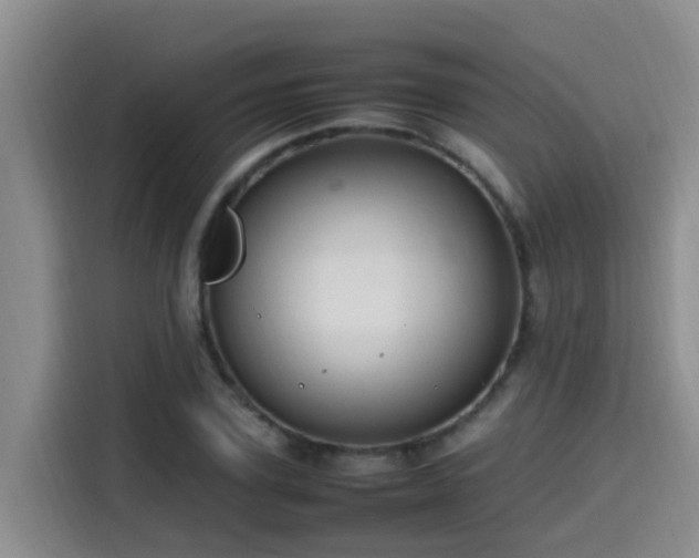 X0000115580931200911171007