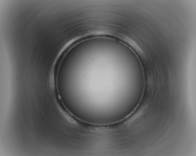 X0000115580934200911171007