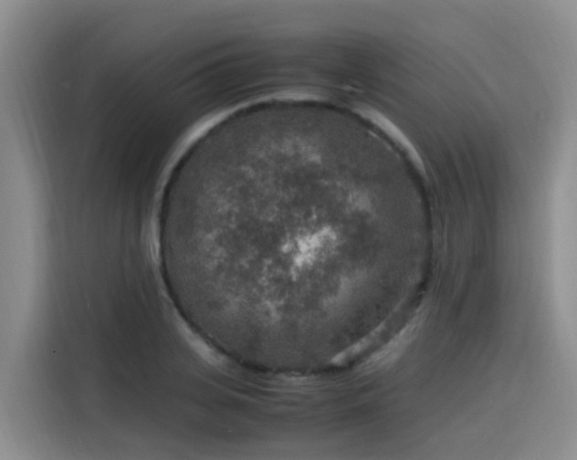 X0000115580935200911171007