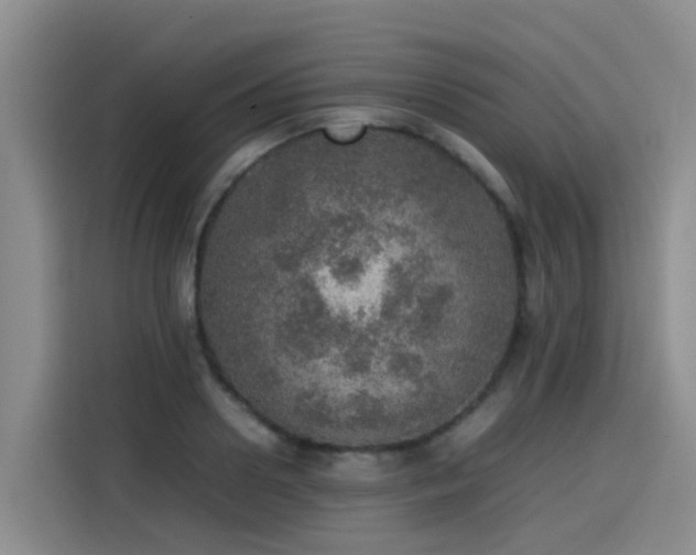 X0000115580938200911171007