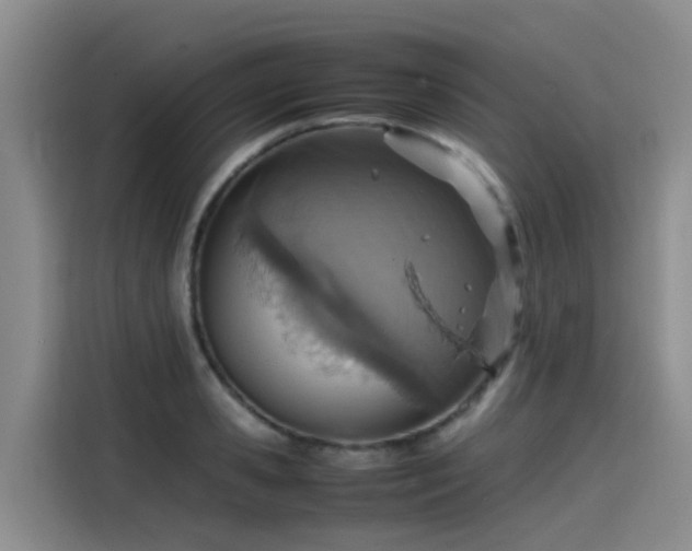 X0000115580941200911171007