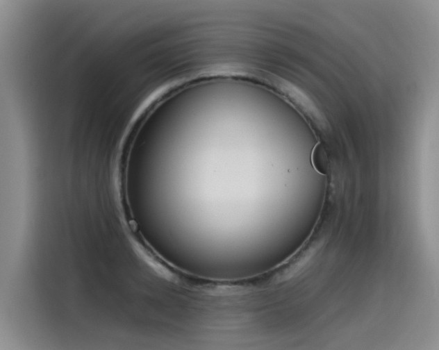 X0000115580942200911171007