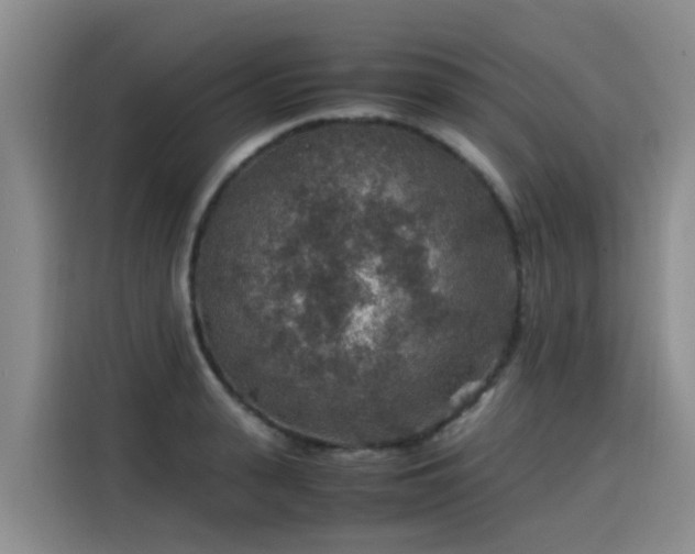 X0000115580943200911171007