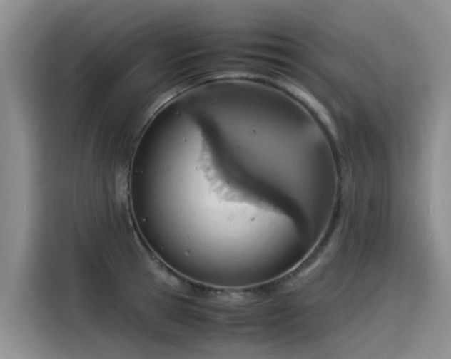 X0000115580945200911171007