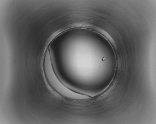 X0000115580946200911171007