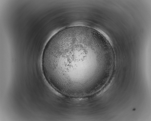 X0000115580949200911171007