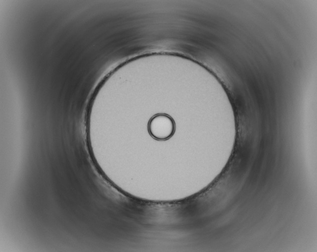 X0000115580950200911171007