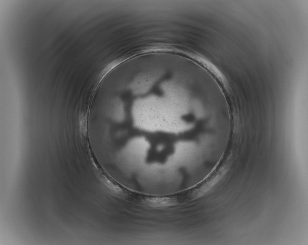 X0000115580953200911171007