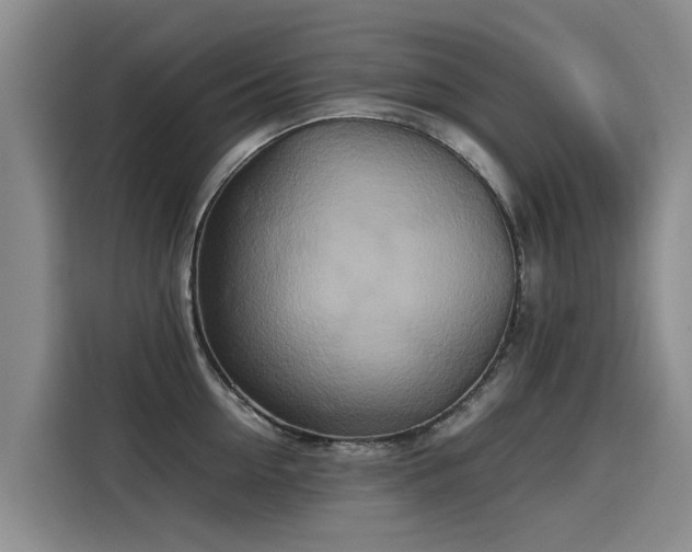 X0000115580954200911171007