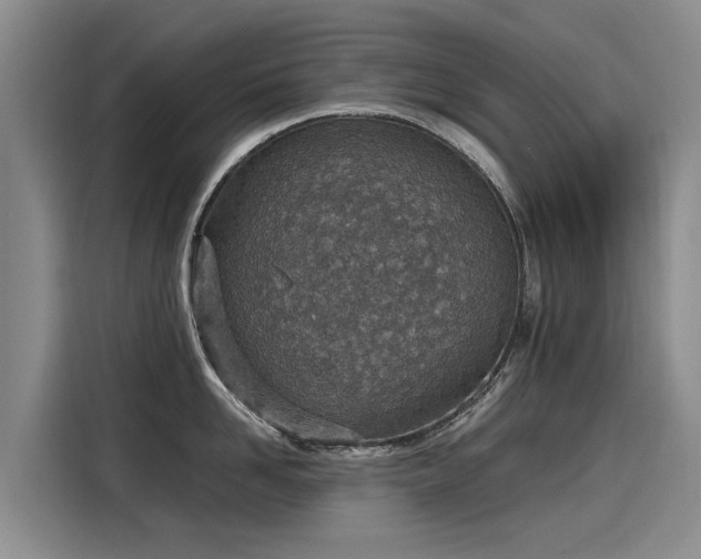 X0000115580958200911171007