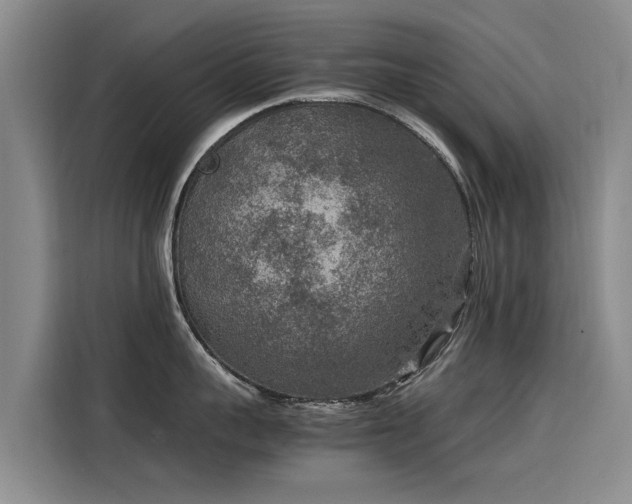 X0000115580959200911171007