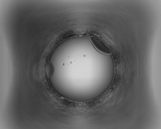 X0000115580961200911171006