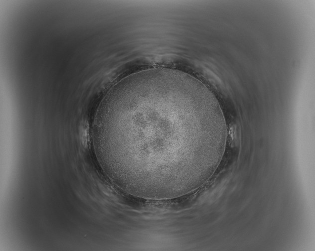 X0000115580963200911171006