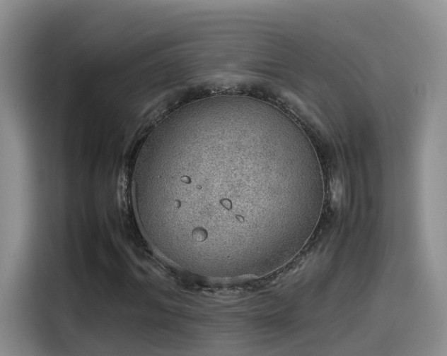 X0000115580964200911171006