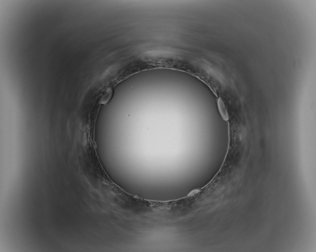 X0000115580965200911171006