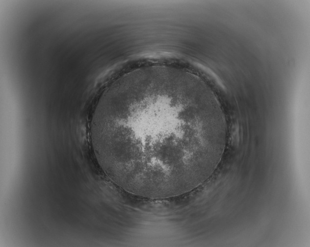 X0000115580966200911171006