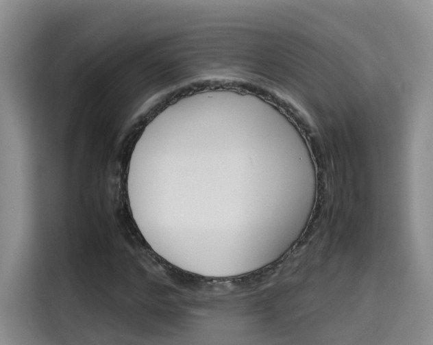 X0000115580968200911171006