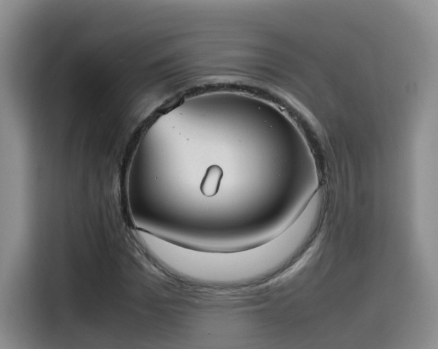 X0000115580969200911171006