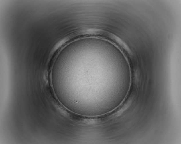 X0000115580970200911171006