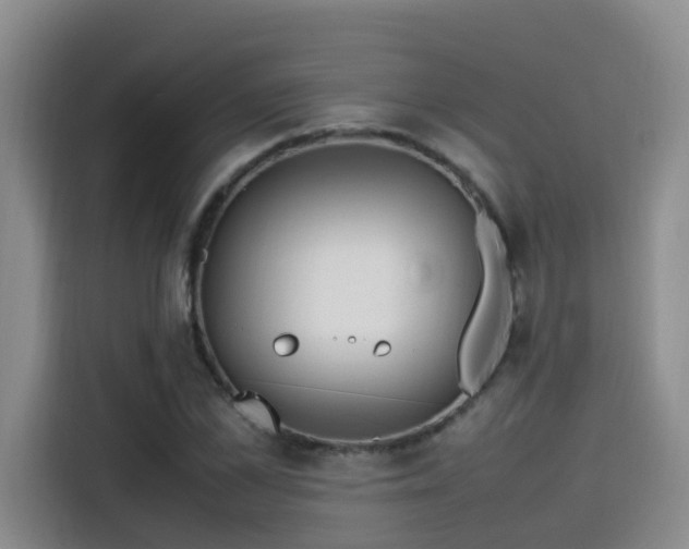 X0000115580973200911171006