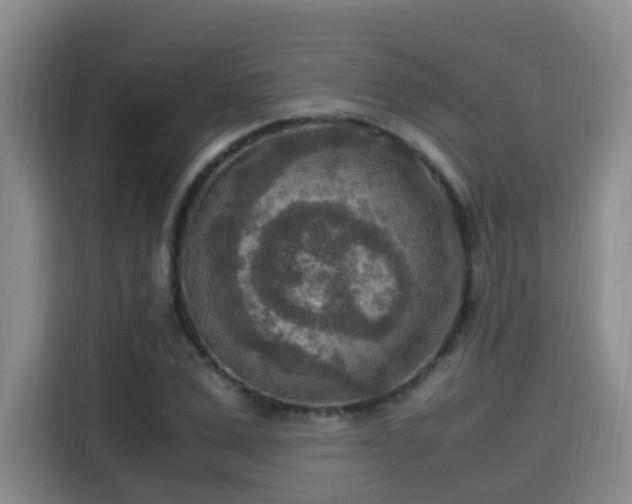 X0000115580975200911171006