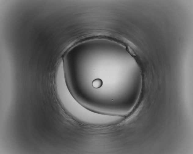 X0000115580977200911171006