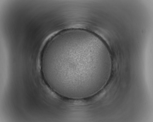 X0000115580979200911171006