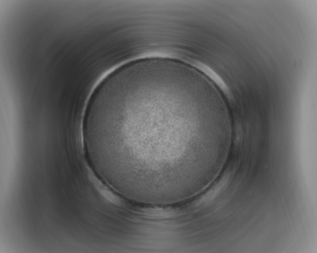 X0000115580980200911171006