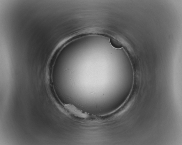 X0000115580981200911171006