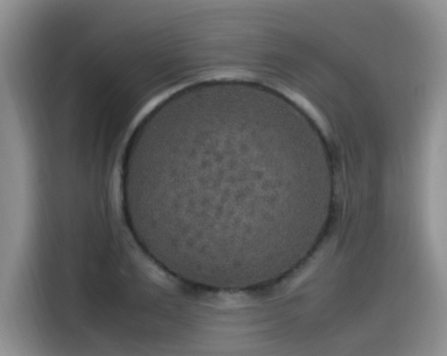 X0000115580983200911171006