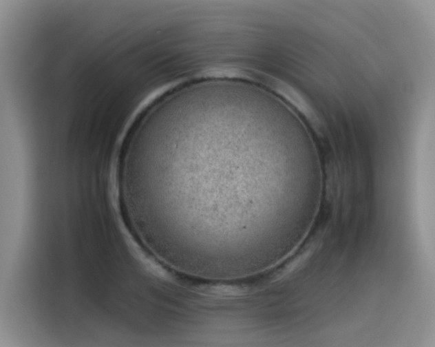 X0000115580984200911171006