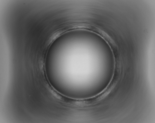 X0000115580985200911171006