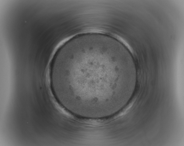 X0000115580987200911171006