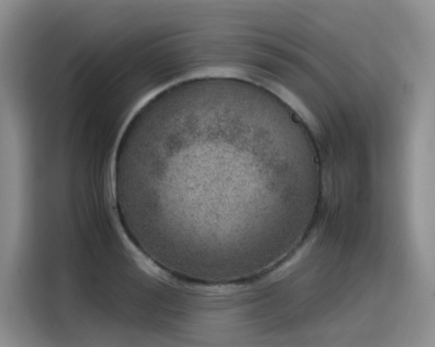 X0000115580988200911171006