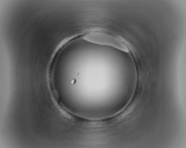 X0000115580989200911171006