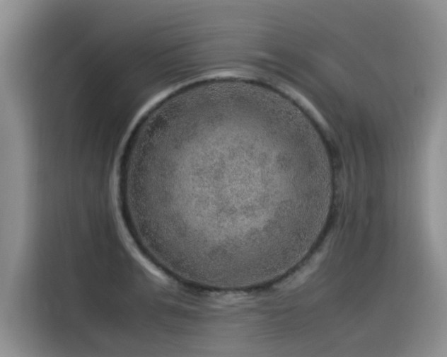 X0000115580991200911171006