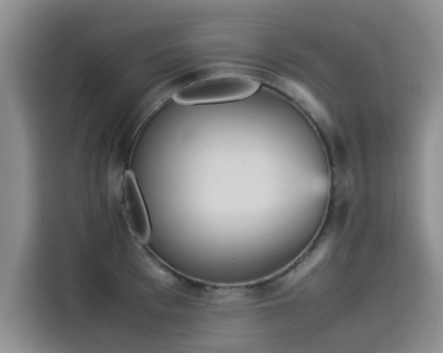 X0000115580993200911171006