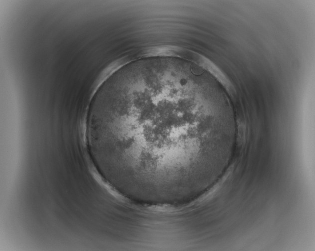 X0000115580994200911171006