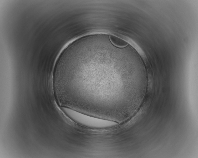 X0000115580996200911171006